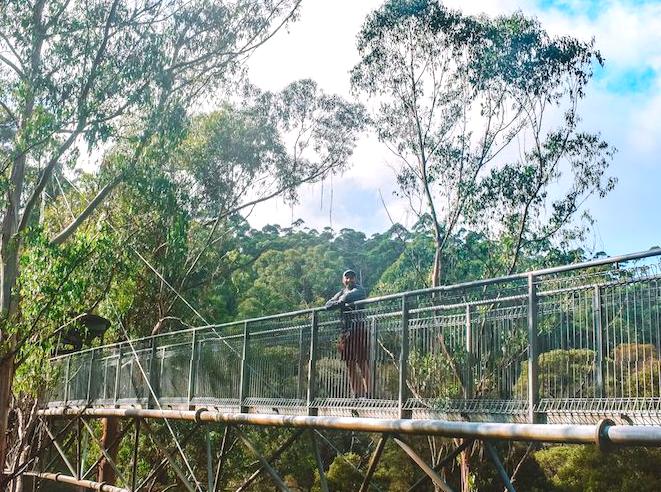 Adventure Awaits at Otway Fly: Canopy Walk and Zipline Fun