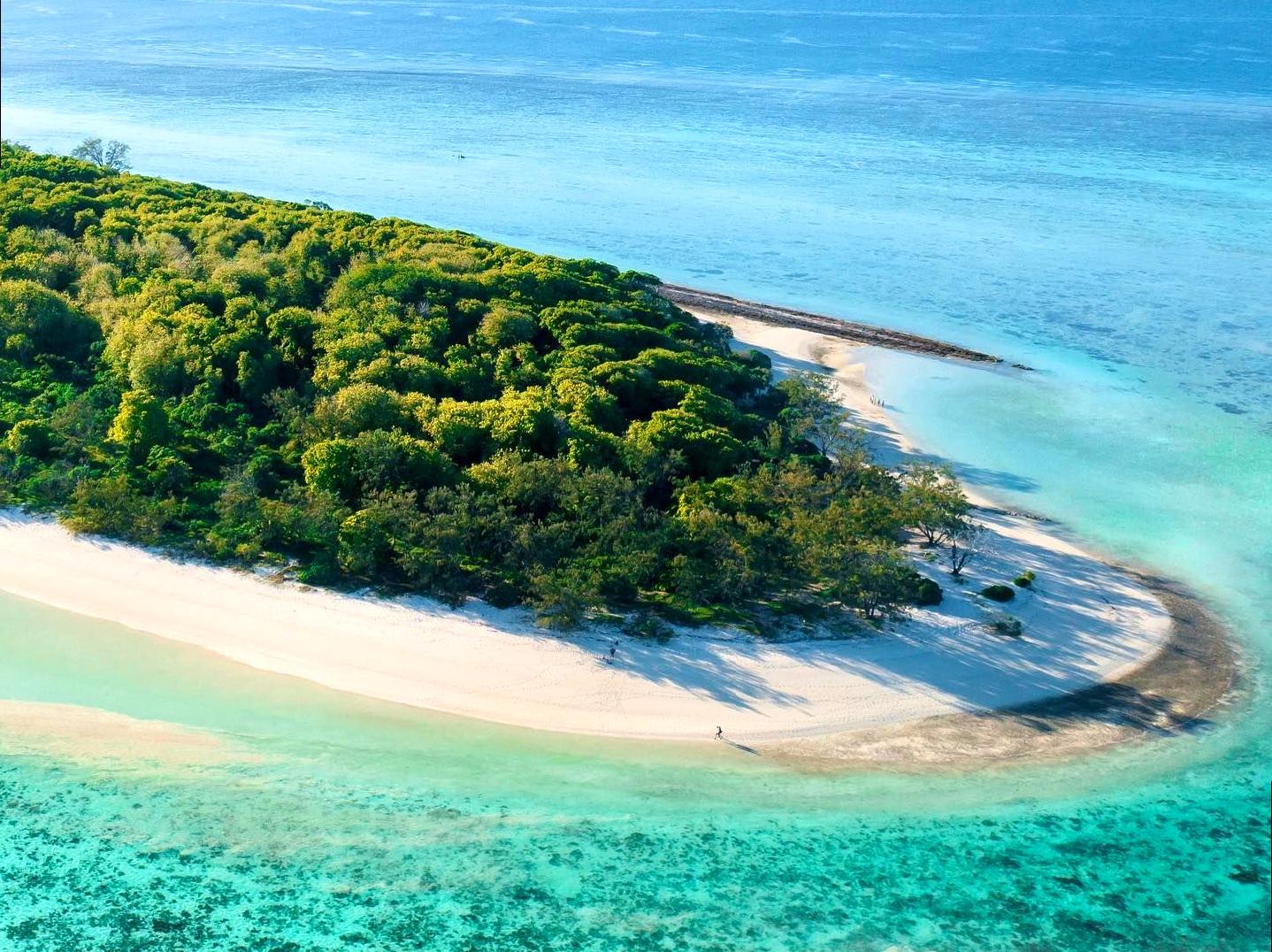 A Journey Through Heron Island's Haven