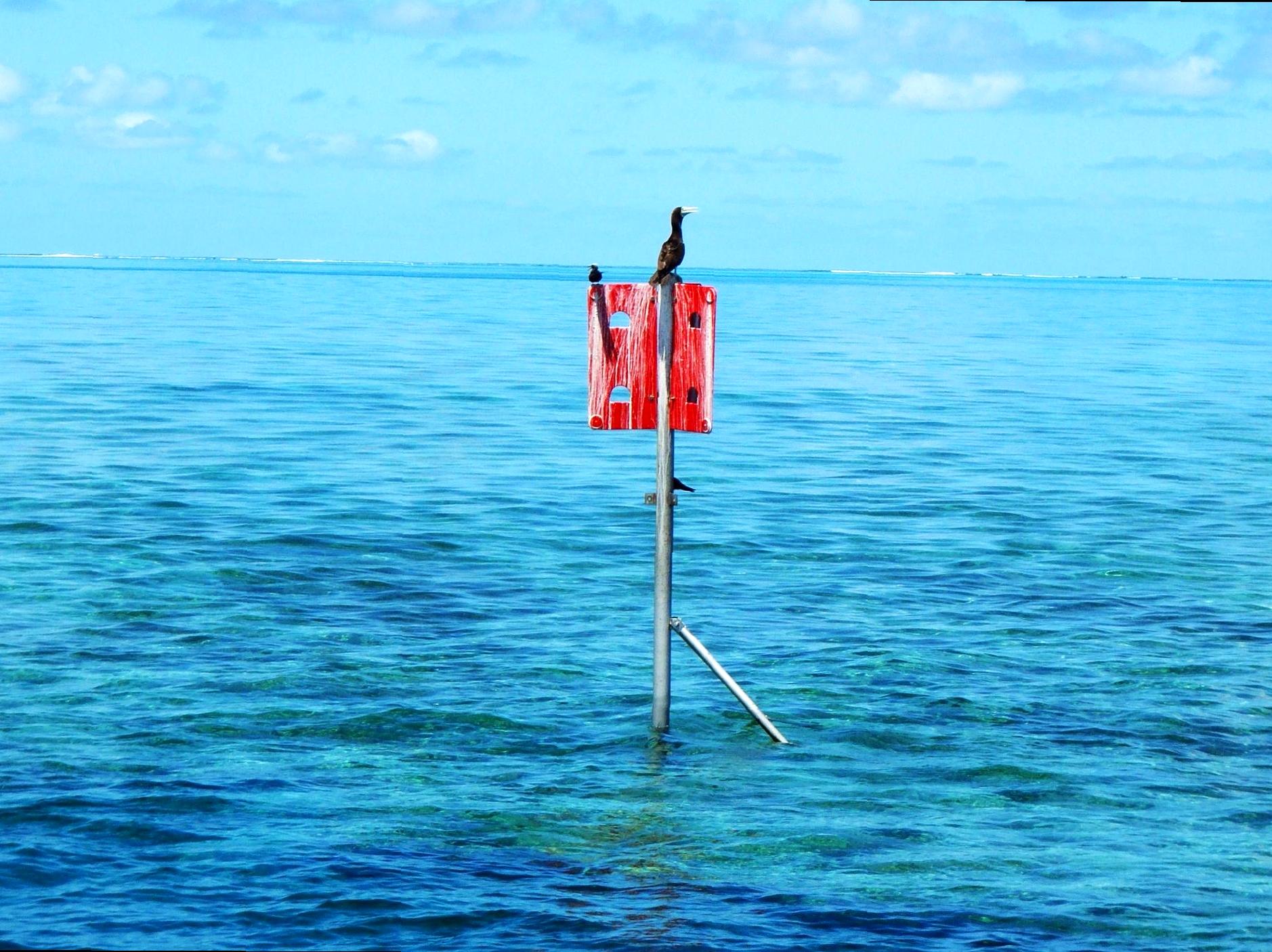 Unveiling the Fitzroy Reef Lagoon