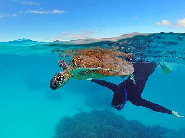 Fitzroy Reef Lagoon: An Exploration Adventure