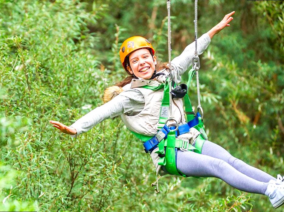 Journey Through Otway Fly: Enjoy Canopy Walk and Zipline Activities